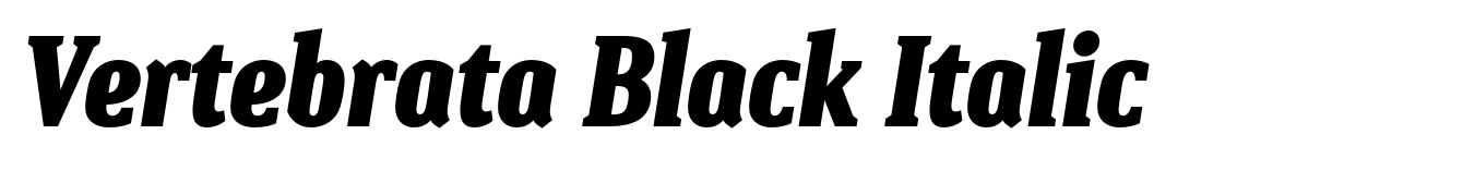 Vertebrata Black Italic